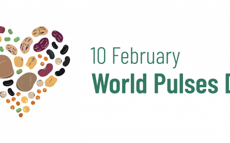 World Pulses Day 2024: Eurice Highlights the Vast Potential of Legumes in Developing Healthy and Sustainable Food Systems