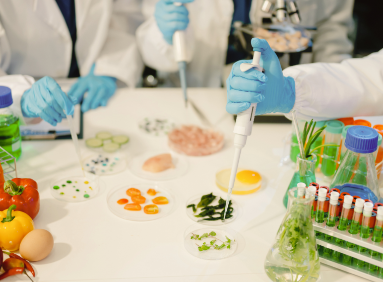 Innovation Rooted in Tradition