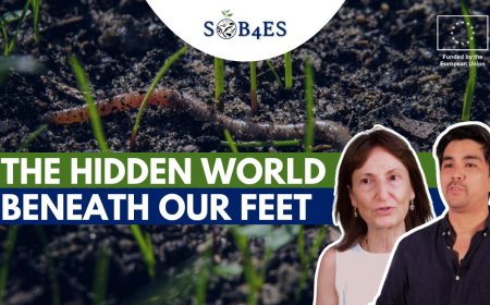 Understanding Soil Biodiversity and Making It Visible to Society: SOB4ES Releases Project Video
