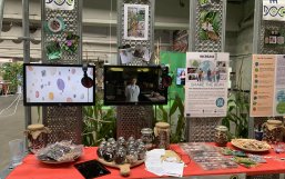 The INCREASE interactive exhibition The INCREASE interactive exhibition