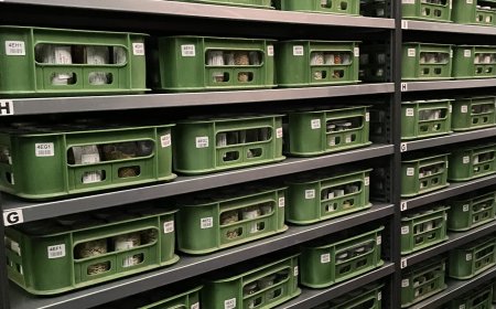 Field Work Insights in Prague: Eurice Travels to AGENT Progress Meeting