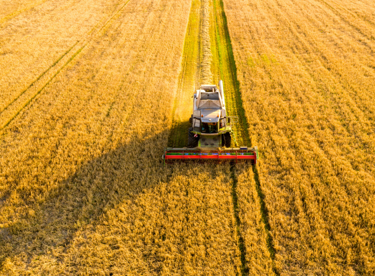 Why Diversity Matters