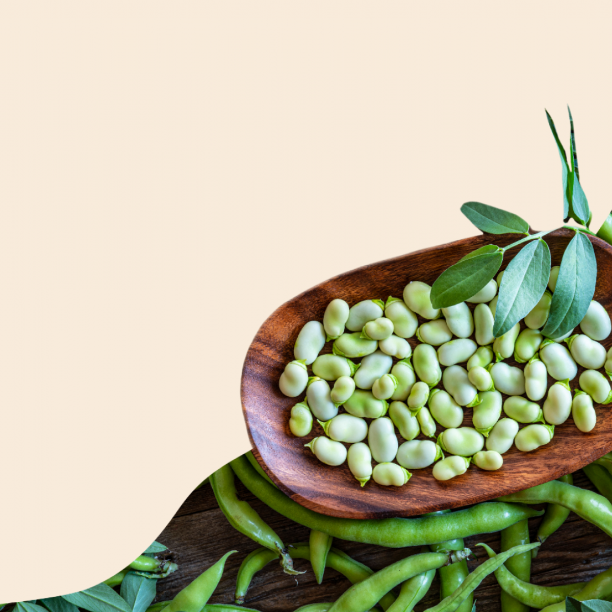 Plant-Based Fermented Foods for Healthier and More Sustainable Diets