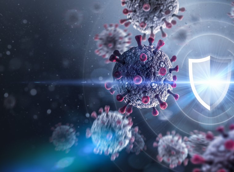 Infectious Diseases and Pandemic Preparedness: NoVir