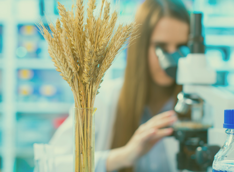 Strengthening Competitiveness Through Food Innovation