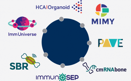 Busy Start into 2020: Seven New Projects for Eurice