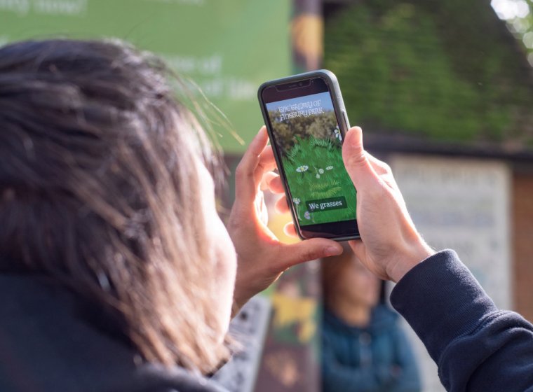 Empowering Community Creativity to Tackle Environmental Sustainability