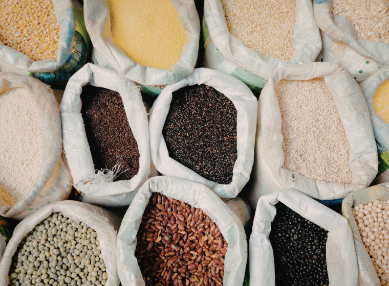 Making Crop Diversity Accessible, Usable and Connected