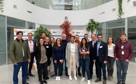 Eurice Goes Spain: NanoBat Consortium Meeting Details past Progress and Sets Out Next Steps