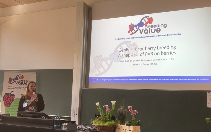Léna Prochnow presenting on GenRes IP