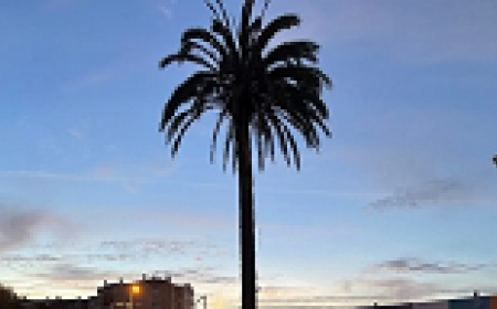 Yscript Consortium Comes Together in Portugal: First Progress Meeting in Beautiful Spring Setting