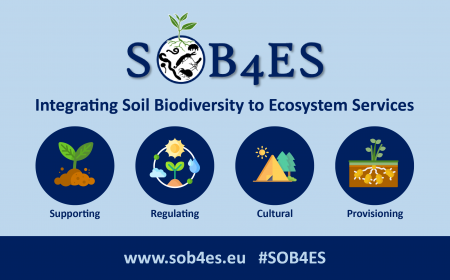 New Project SOB4ES – Eurice Expands Portfolio on Biodiversity under the EU Mission: A Soil Deal for Europe