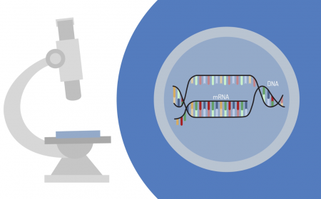 Finding a Novel Delivery System for mRNA Therapeutics to Treat Cancer and Heart Failure: EU Project EXPERT Releases Animated Clip