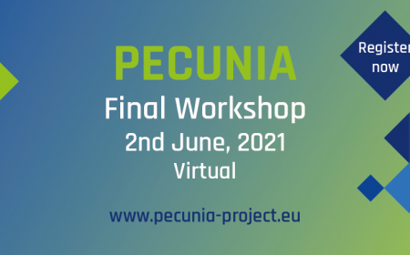 Horizon2020 Project PECUNIA Nearing the Finish Line: Virtual Final Workshop in June