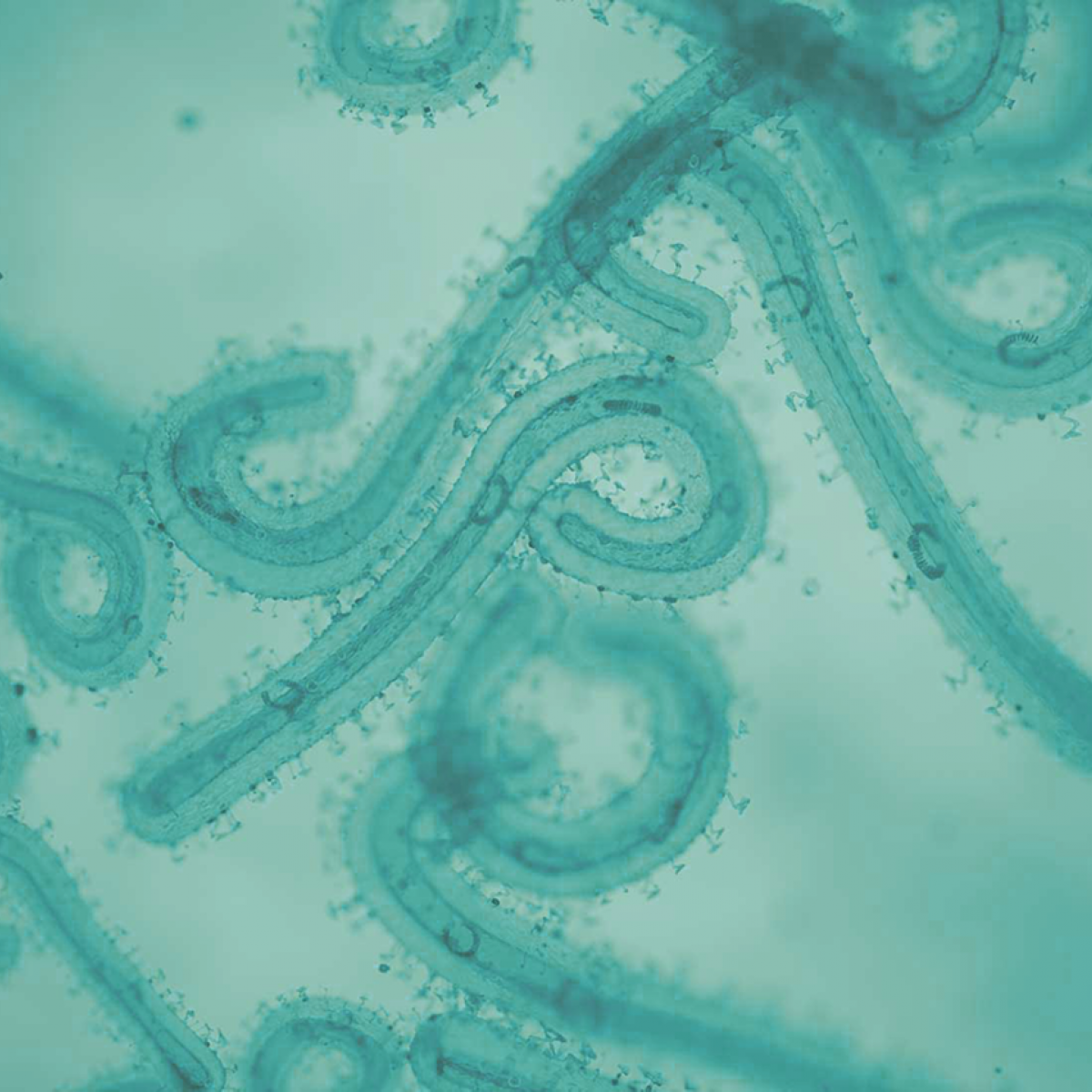 Towards Improved Pandemic Preparedness Towards Improved Pandemic Preparedness