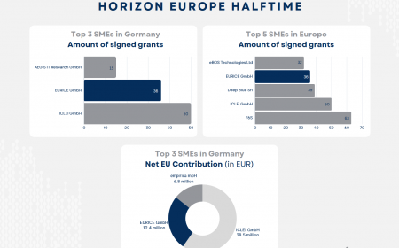 Eurice and RISE Shine in Horizon Europe's First Half