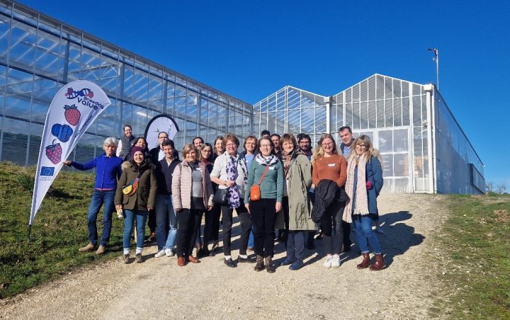 Field demonstration visit to BreedingValue partner INVENIO on the 13th February 2024. Field demonstration visit to BreedingValue partner INVENIO on the 13th February 2024.
