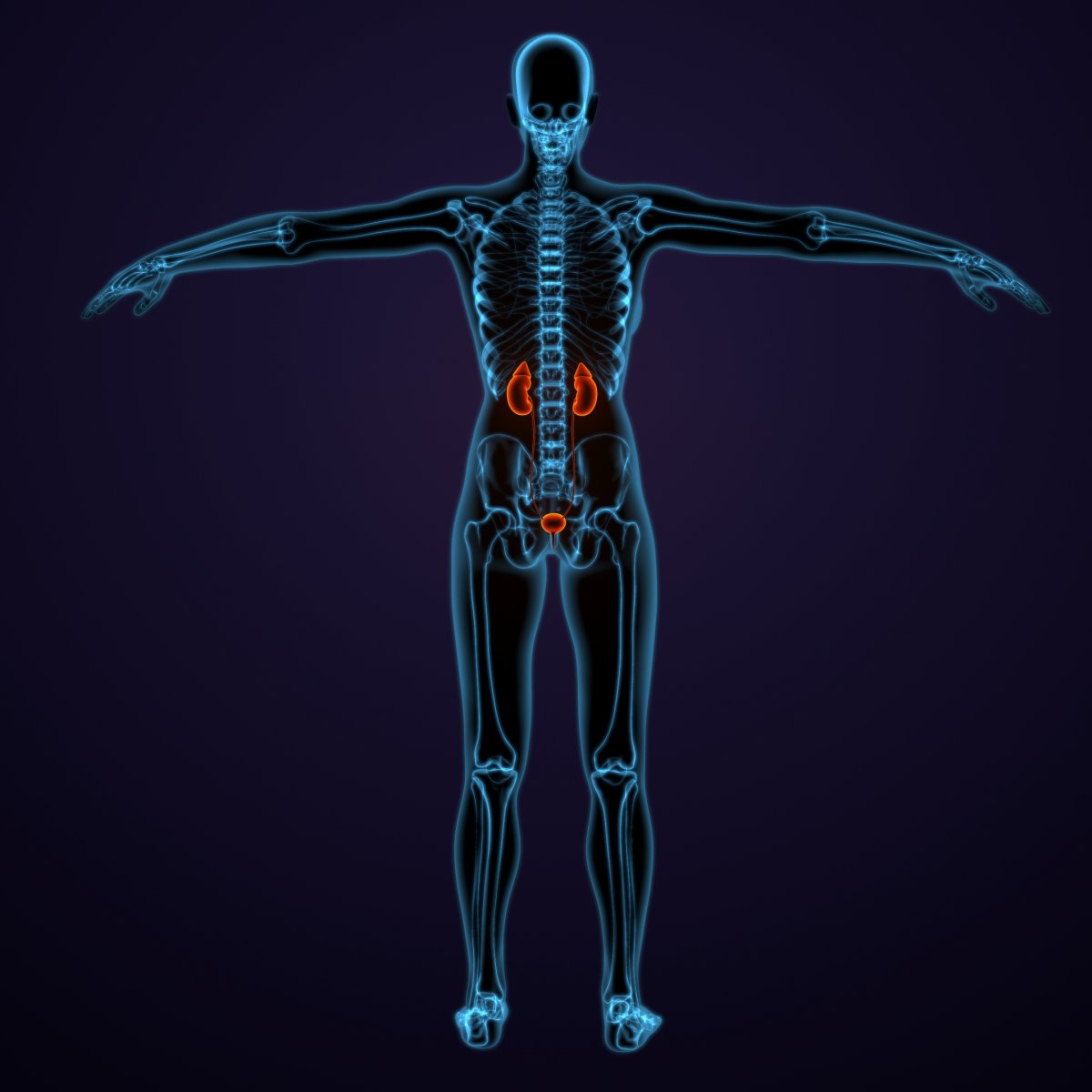 Improving Urologic Cancer Care with Artificial Intelligence Solutions