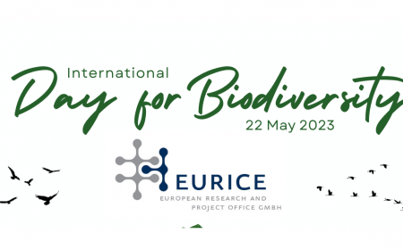 International Day for Biodiversity: The Case Remains for Further R&I Investments to Shape a Sustainable Future