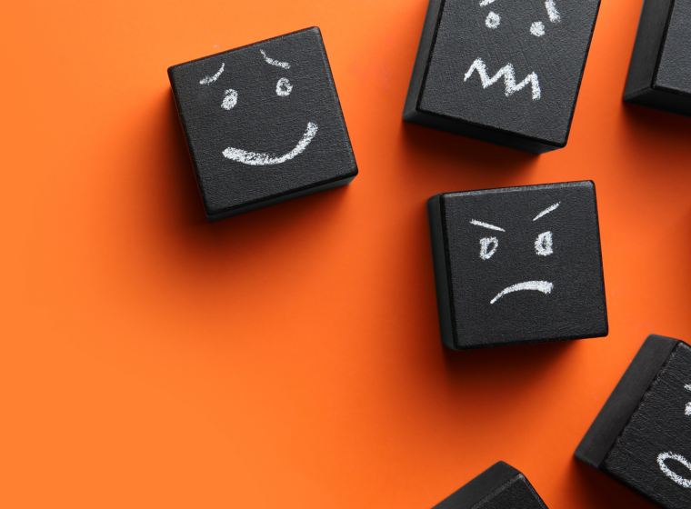 The Role of Emotions