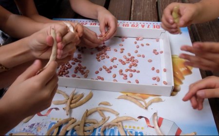 ‘Come with us… Citizens for agrobiodiversity!’: EU research project INCREASE releases new video