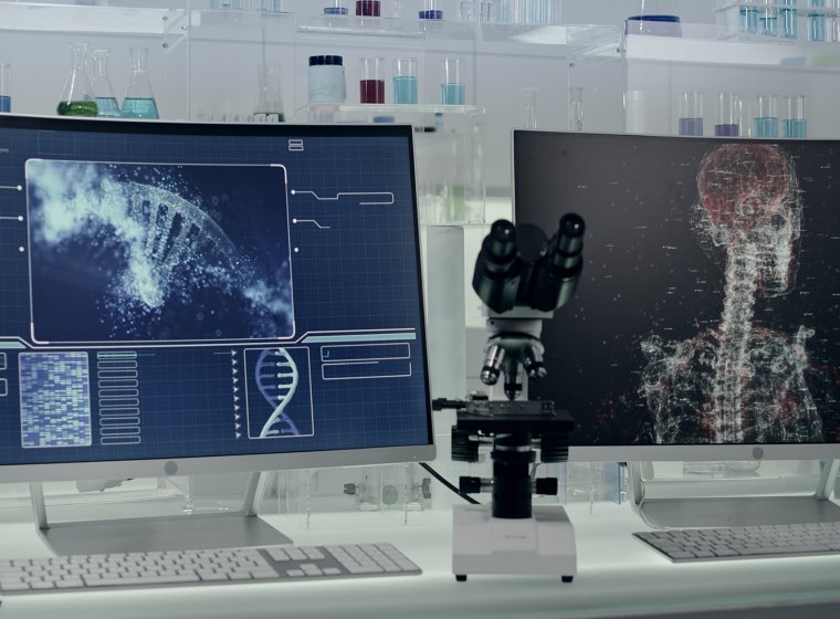 The Sponge of the Future 