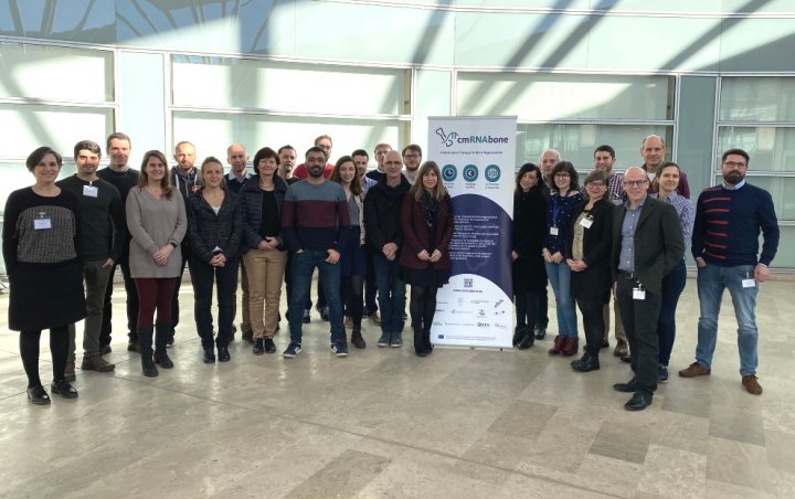 The cmRNAbone Consortium Came Together for Their First Project Meeting The cmRNAbone Consortium Came Together for Their First Project Meeting