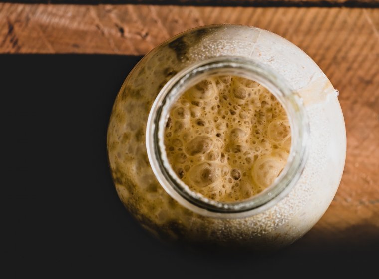 Fermented Foods: Beneficial for Health?