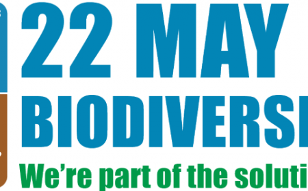 International Day for Biological Diversity 2021: Eurice Partner in Five Projects Advancing Biodiversity