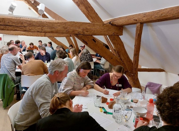 Community Science for Innovative Plant-Based Food Fermentations