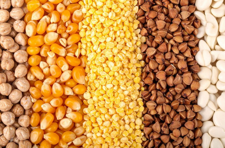 Unlocking Biodiversity: How Europe Is Rethinking Crop Diversity for a Resilient Future