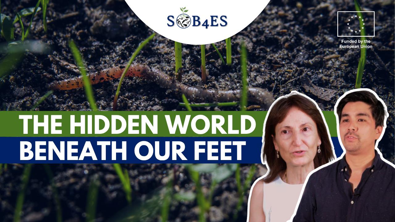 SOB4ES Youtube video's thumbnail