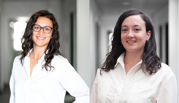 From Fellows to Leaders: Cultivating Scientific Careers Through the MSCA Doctoral Networks